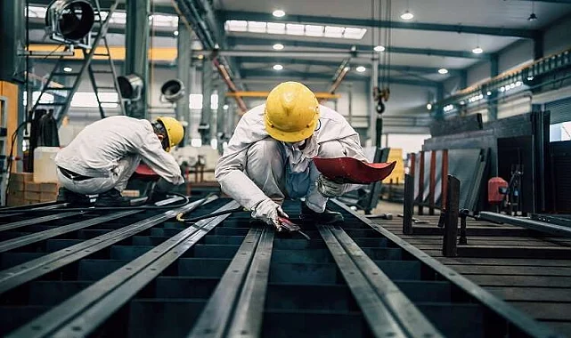 Turhal Kertenkele İlaçlama